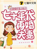 重生七十年代之再婚夫妻